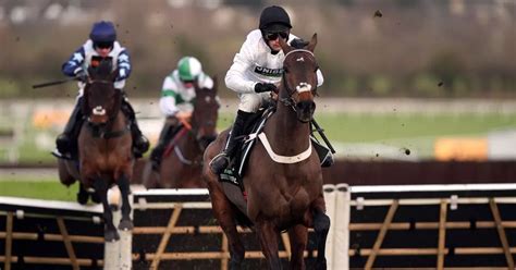 cheltenham going report